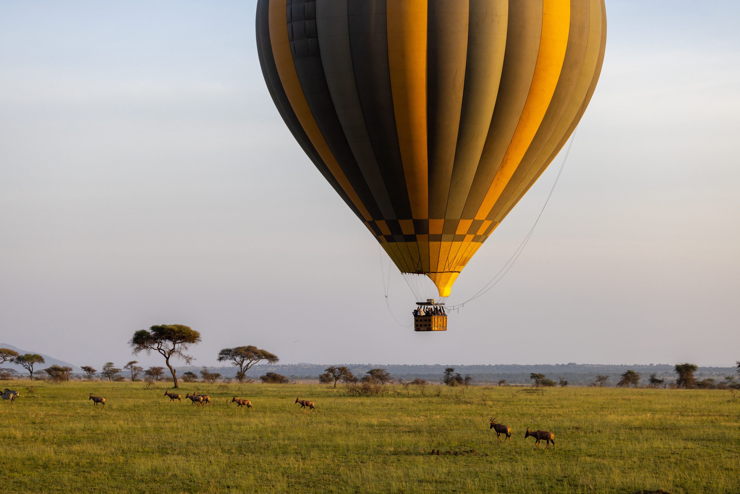 travel-image