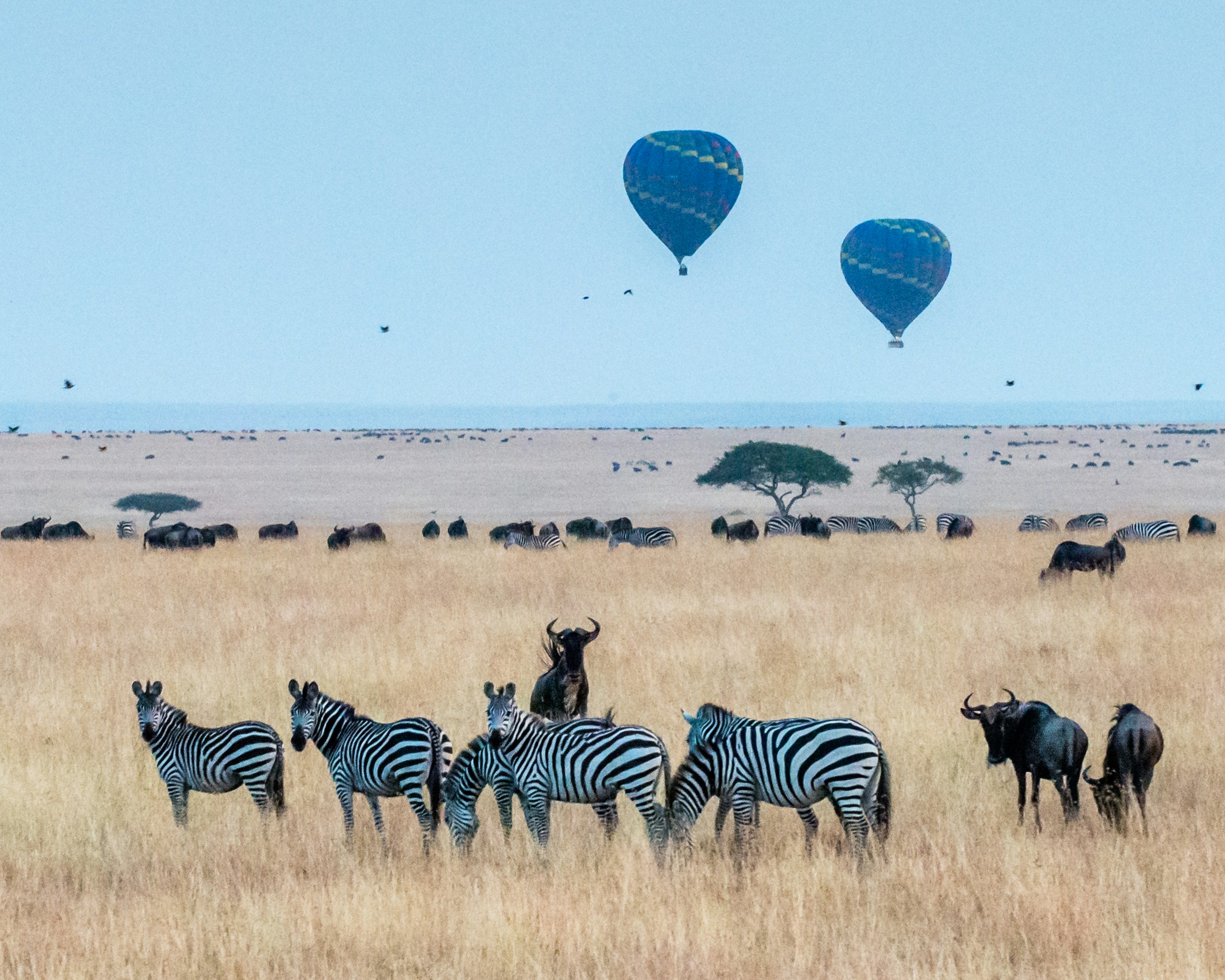 travel-image